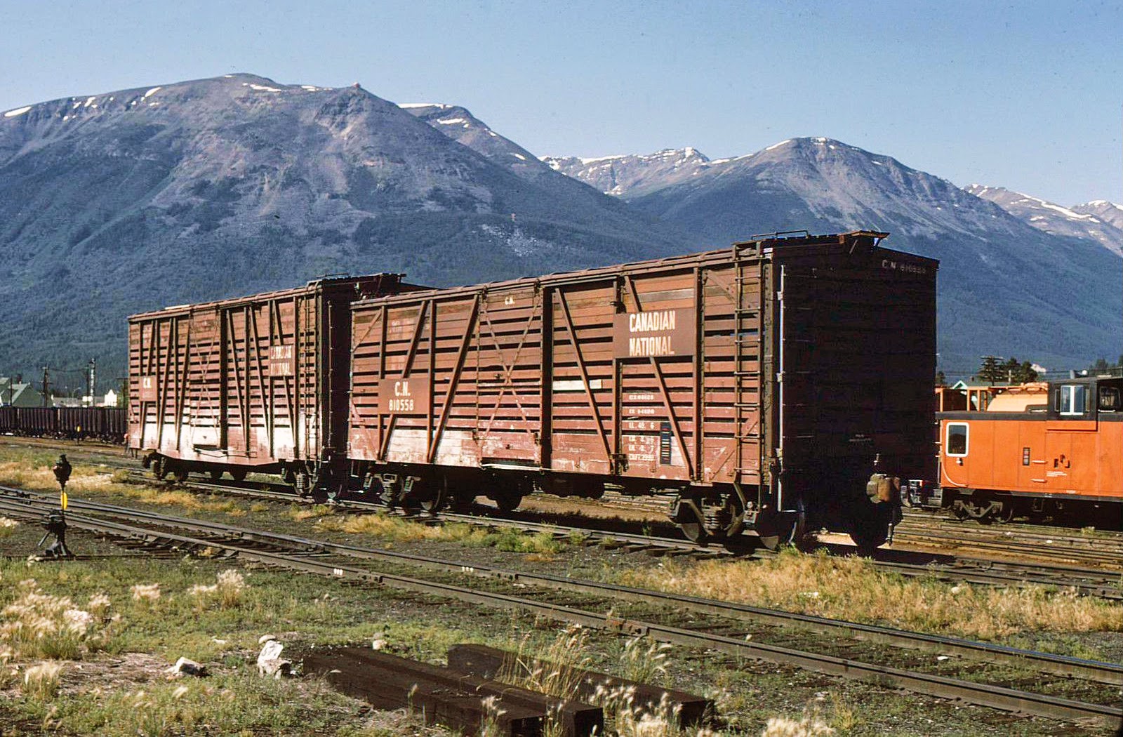 transpress nz Canadian National livestock cars