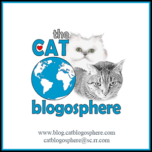 The Cat Blogosphere