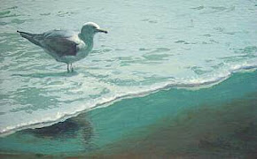 Gull in the Tide