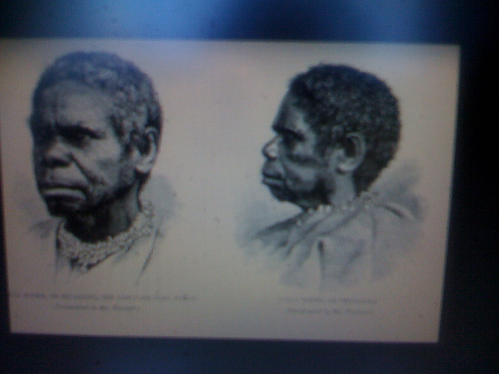 THE BLACK SOCIAL HISTORY BLACK SOCIAL HISTORY THE BLACK TASMANIANS