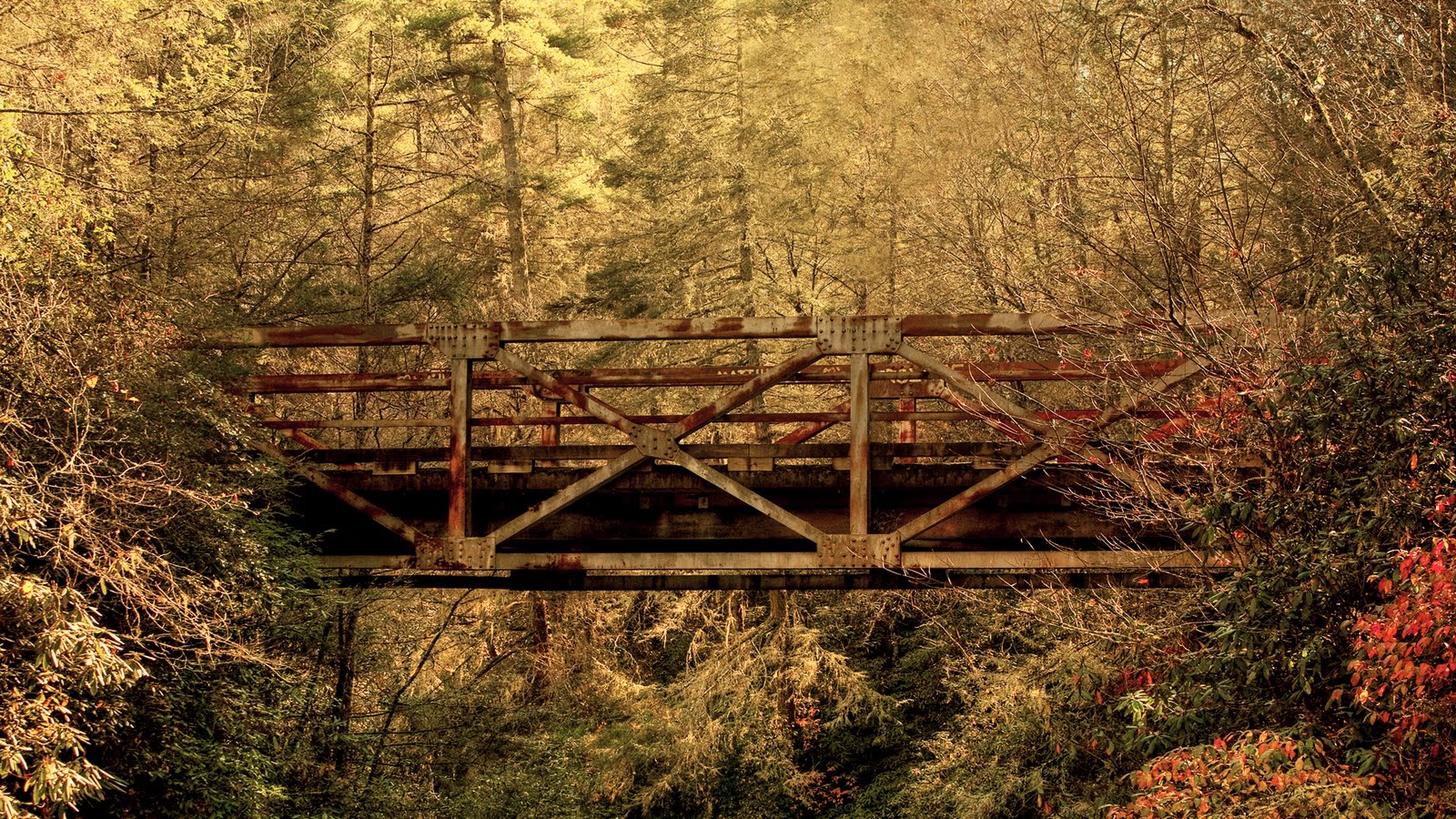 http://4.bp.blogspot.com/-Fv6bS_cjGsQ/TmLgAv9pHDI/AAAAAAAAAxk/fp4qeSaLl1k/s1600/GURU+WALLPAPER+%252847%2529.jpg