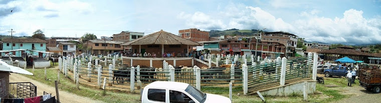 COLISEO DE FERIAS -REMATE FERIA DE GANADO