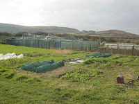 Allotment With A Sea View - St Ives Cornwall