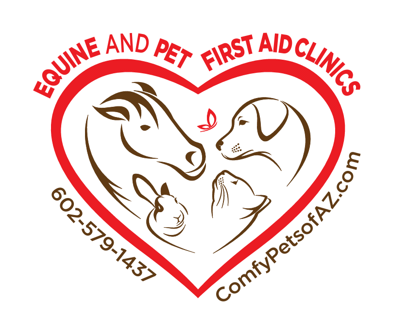 Equine and Pet First Aid