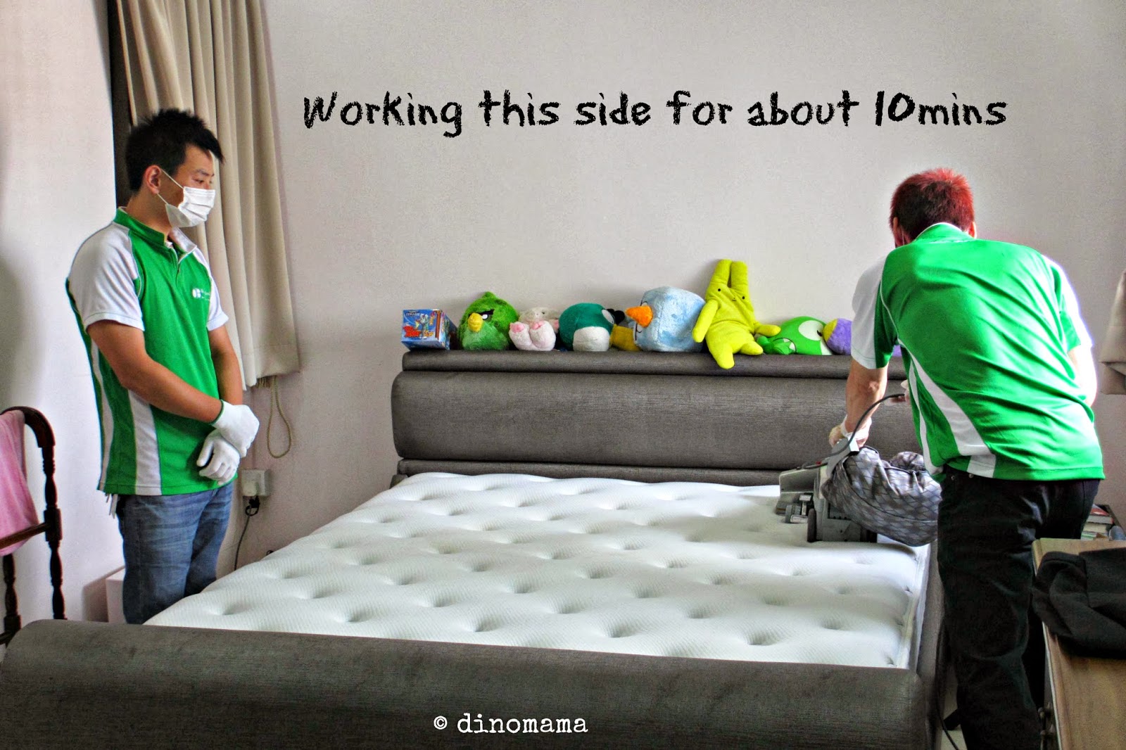 De Hygienique way of mattress cleaning We are the DinoFamily 我們是恐龍家族
