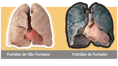 Porque deixou de fumar o vídeo