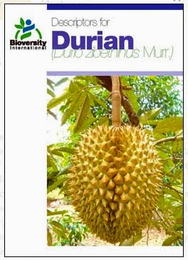 Descriptors For Durian