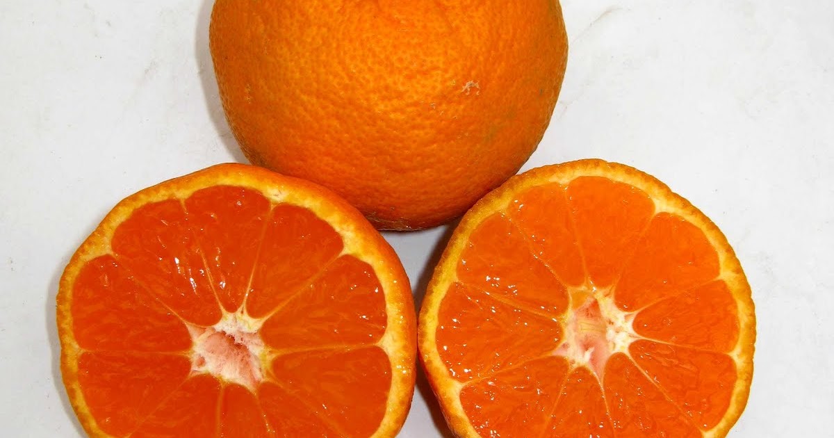 Redwood Barn Nursery Mandarins? You Can Grow That!