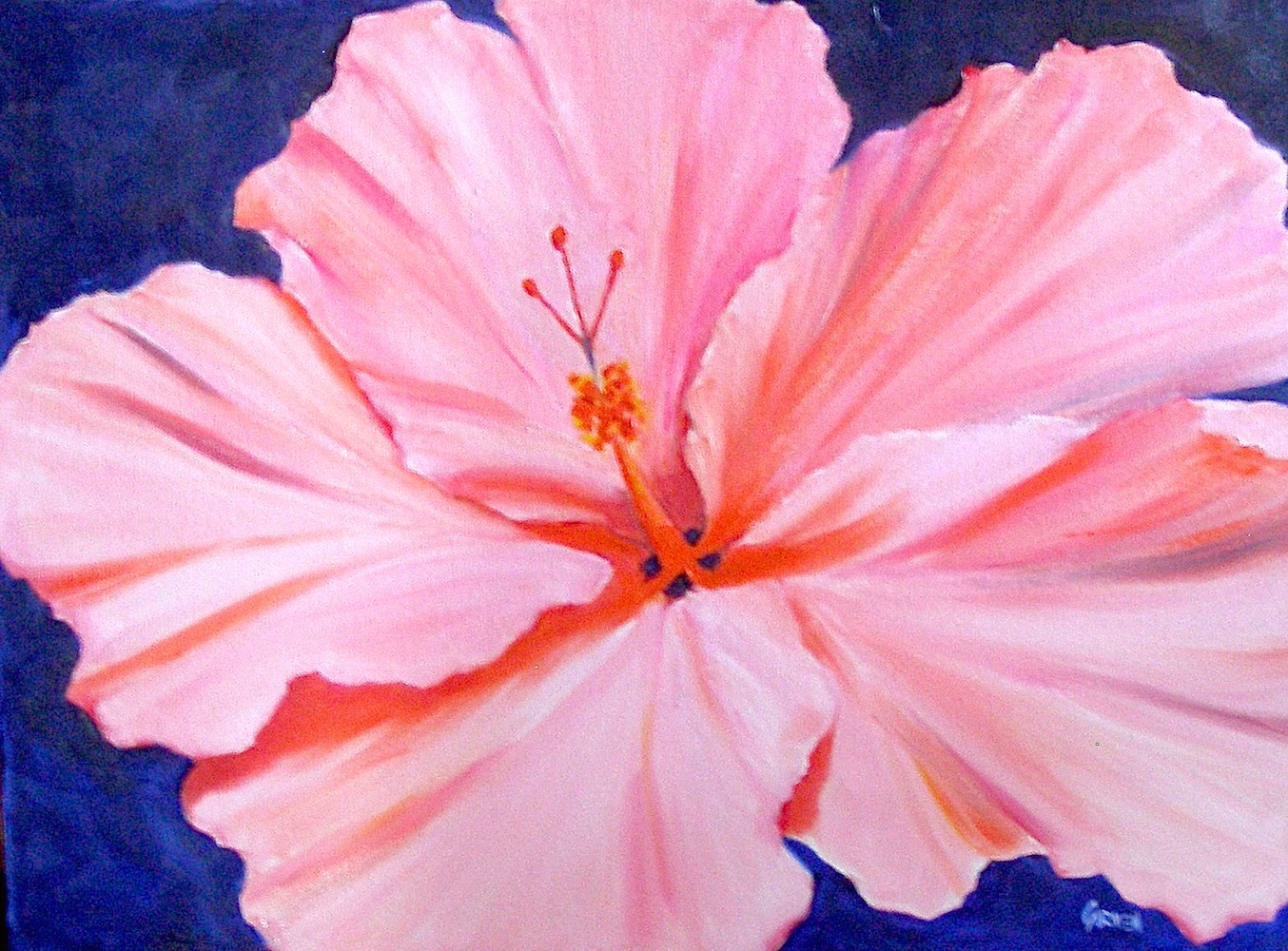 Carmen Beecher Pink Hibiscus, 18x24 Original Oil Painting on Canvas
