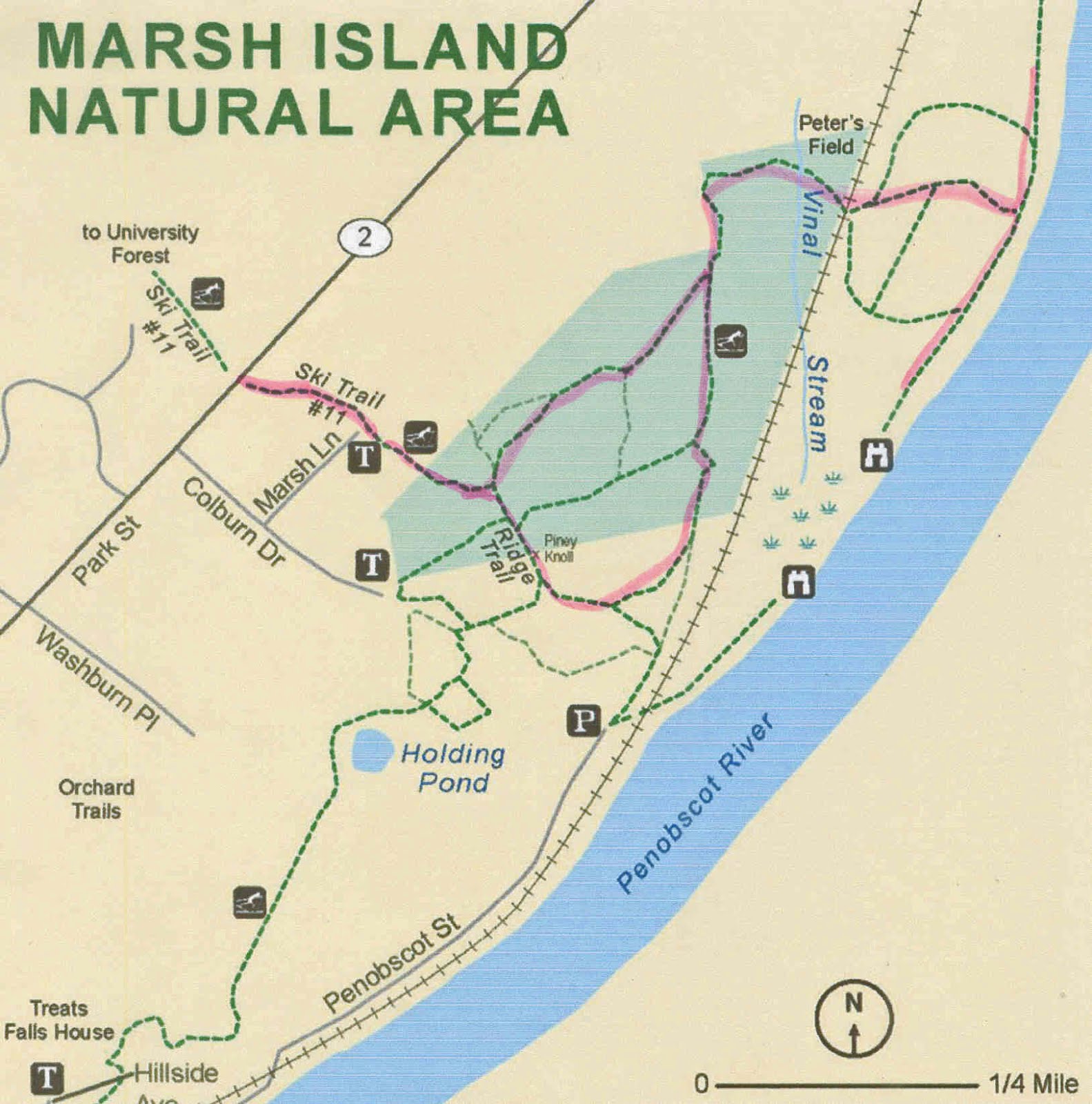 Marsh Island