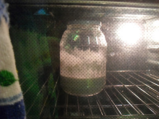 An adventure in chance. Will my housemates use the oven?