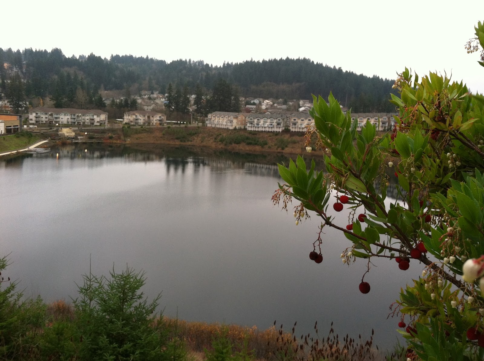 Living in Beaverton? (Portland, Hillsboro, Lake Oswego: apartments