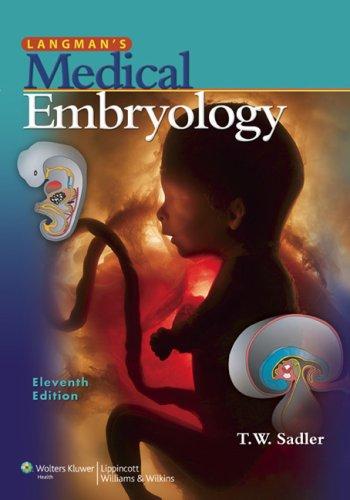 langman embryology