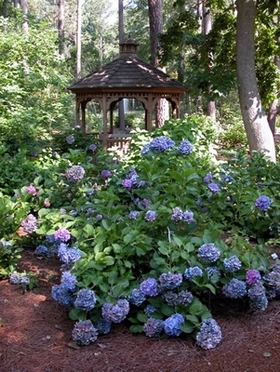 the corson cottage: April 2011
