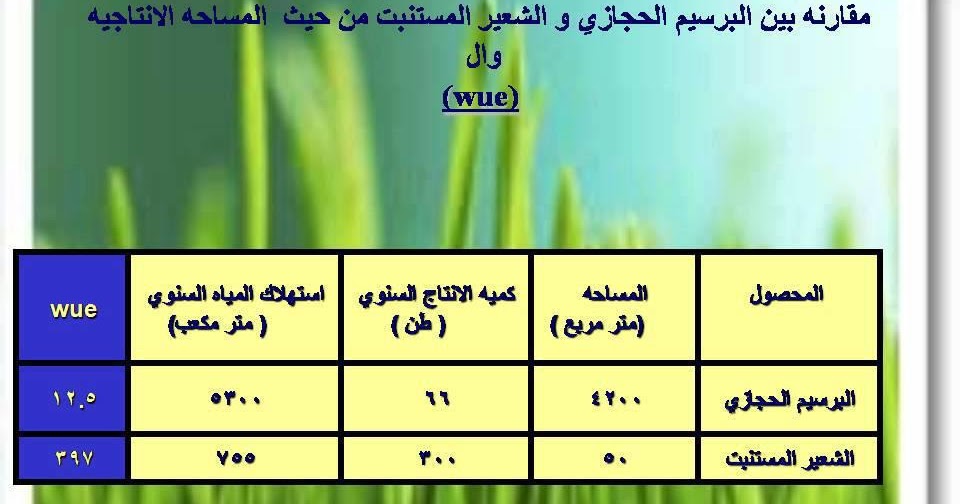 الشعير المستنبت صورة تقارن بين البرسيم الحجازي والشعير المستنبت من حيث