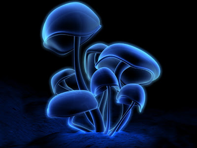 Unduh 2000+ Wallpaper 3d Untuk Laptop Terbaru Unduh 2000+ Wallpaper 3d Untuk Laptop Terbaru