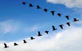 Krea tu Exito - Blog de Desarrollo Personal y Coach: TRABAJO EN EQUIPO