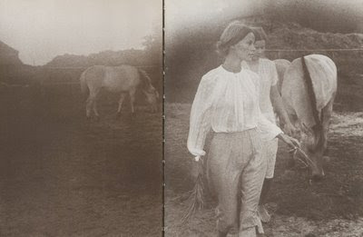 David Hamilton