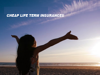 Cheap Life Term Insurances Cheap Life Term Insurances