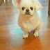 Meet T-ara Soyeon's "dongsaeng" Kim Maro