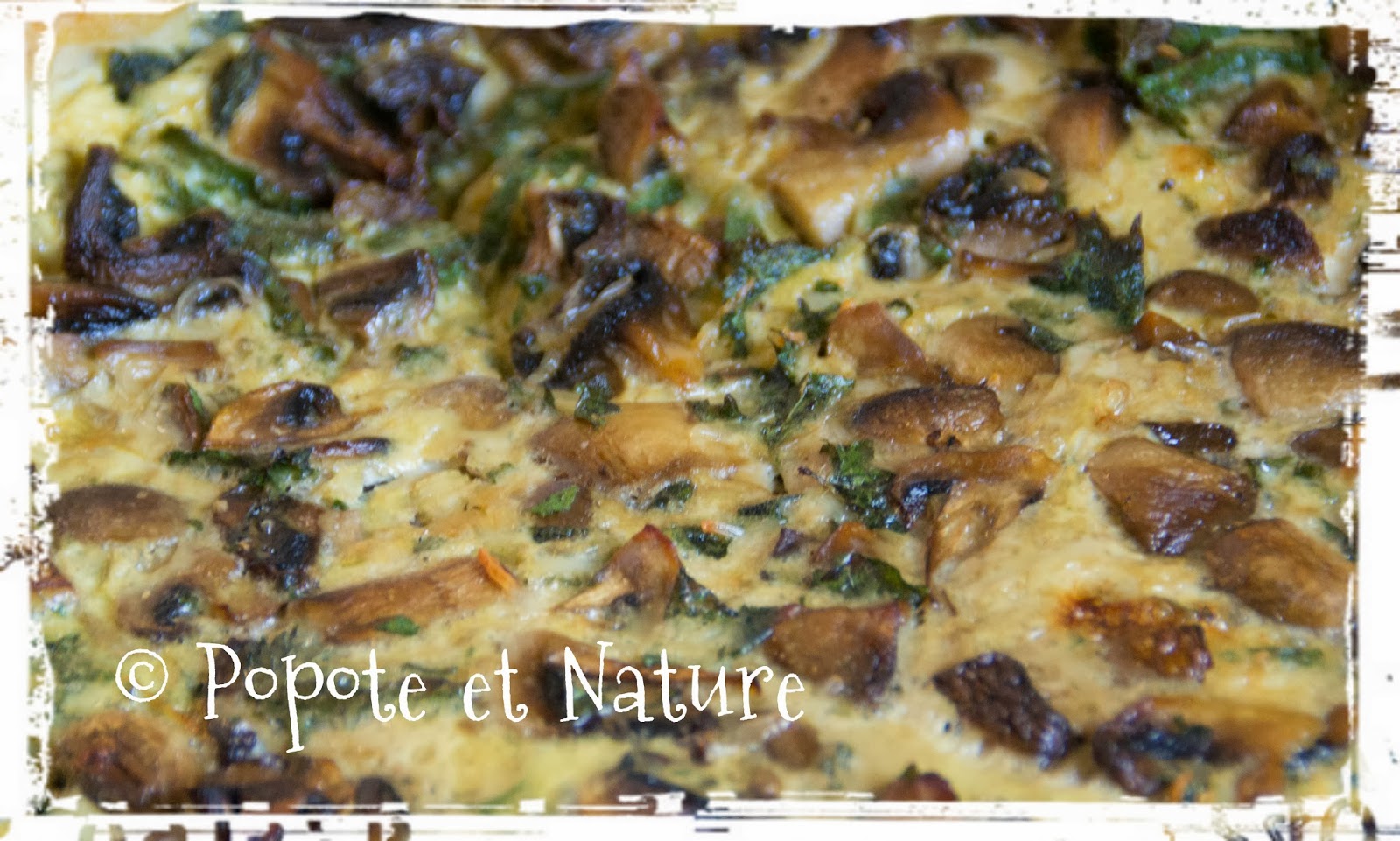 © Popote et Nature - Quiche aux orties et aux champignons de Paris
