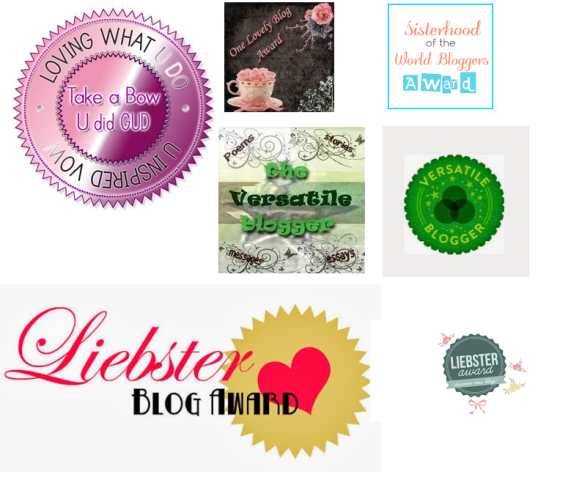 Blog Awards - Acknowledgements From Fellow Bloggers 2009-present
