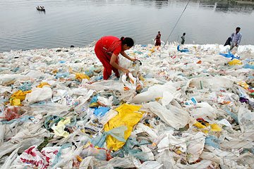 essay plastic bags environmental problems essay plastic bags environmental problems