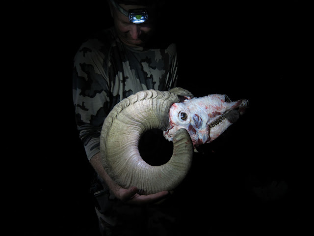 AZ+Unit+22+Desert+Bighorn+Sheep+Hunt+Photos+with+Jayscottoutdoors+30.JPG