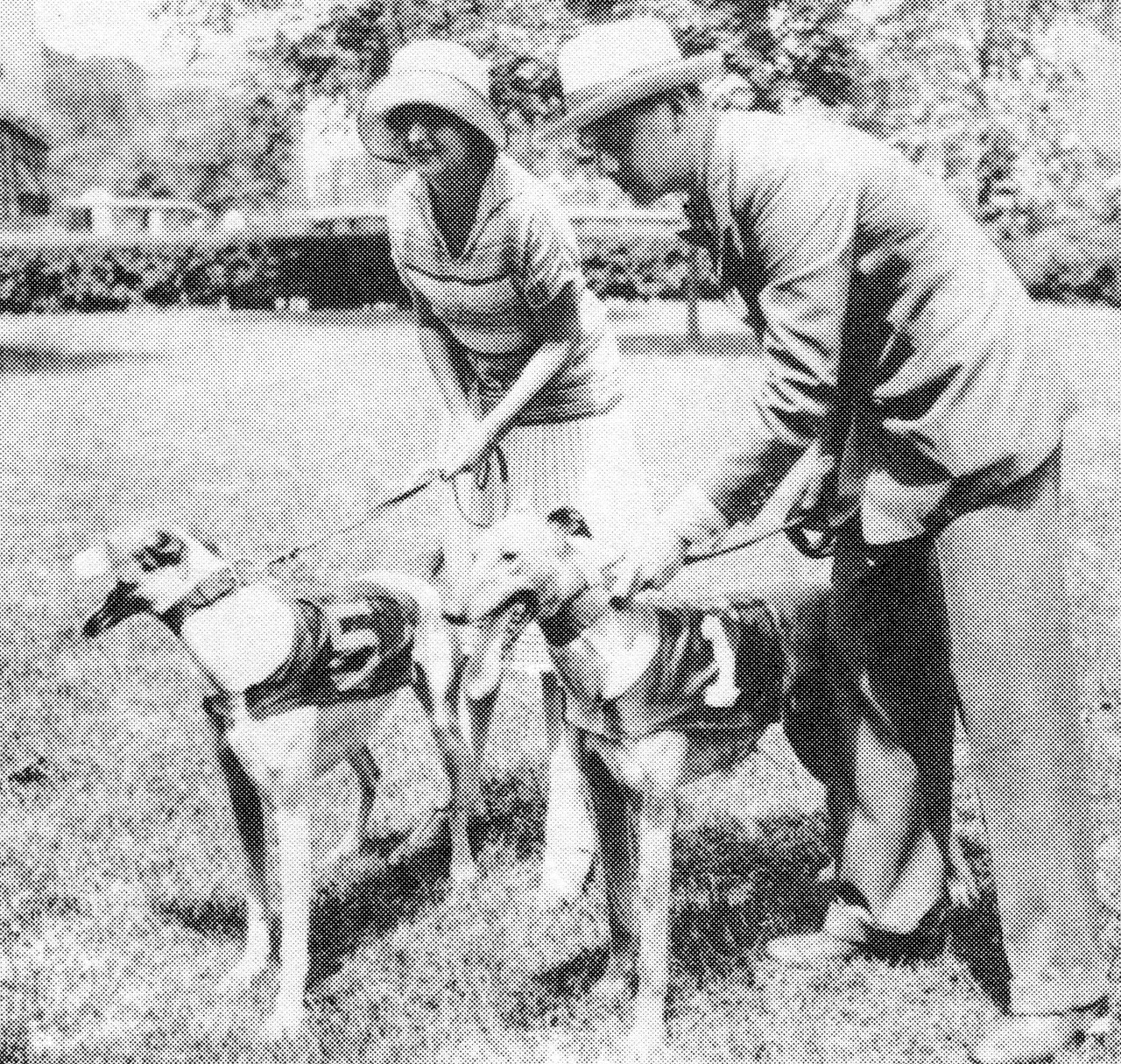 Who Invented Dog Racing