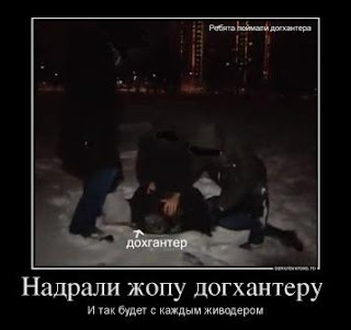 Догхантер был пойман Поимка анти-догхантерами догхантера