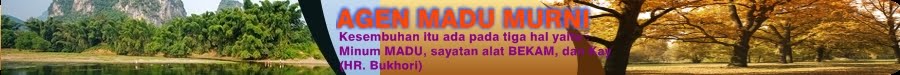 Agen Madu Murni | Agen Madu Surabaya | Agen Madu