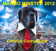 Mango Minster 2012