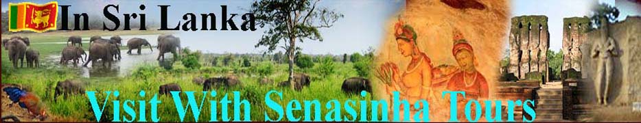 Visit  Sri Lanka  With Senasinghe Tours
