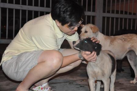 Don T Let Dog Food Go Stale Don T Let Dog Food Go Stale