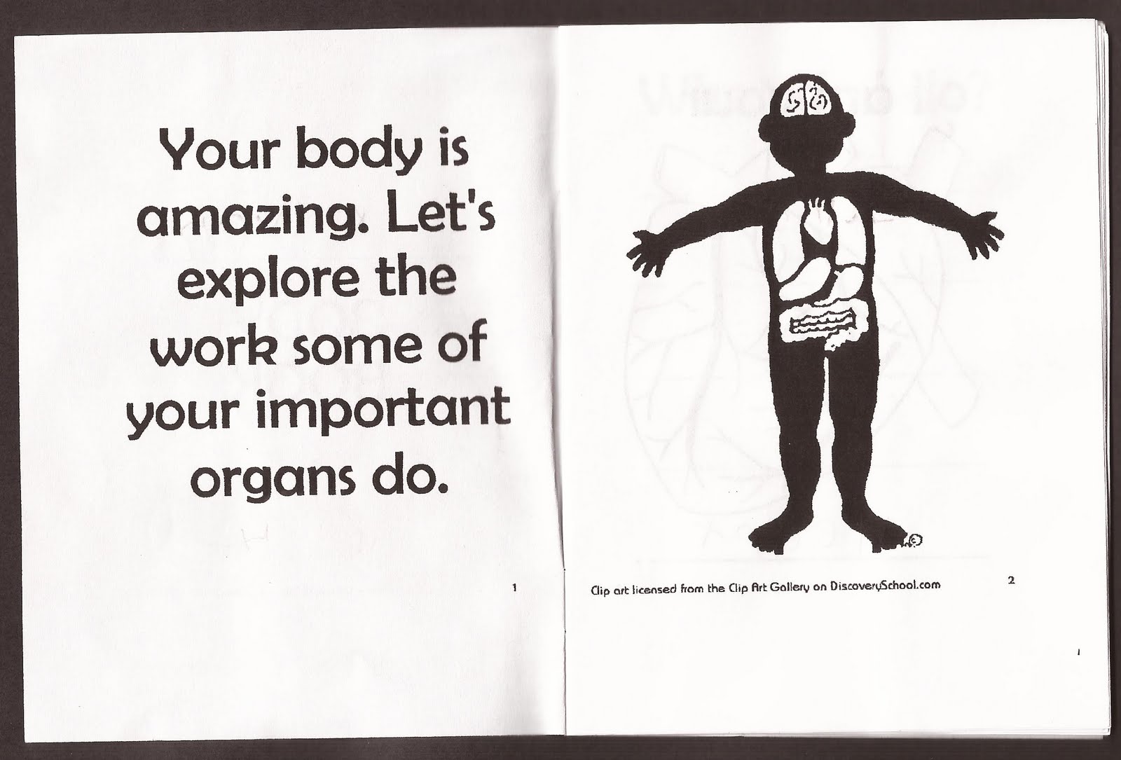 Body Organs Kids