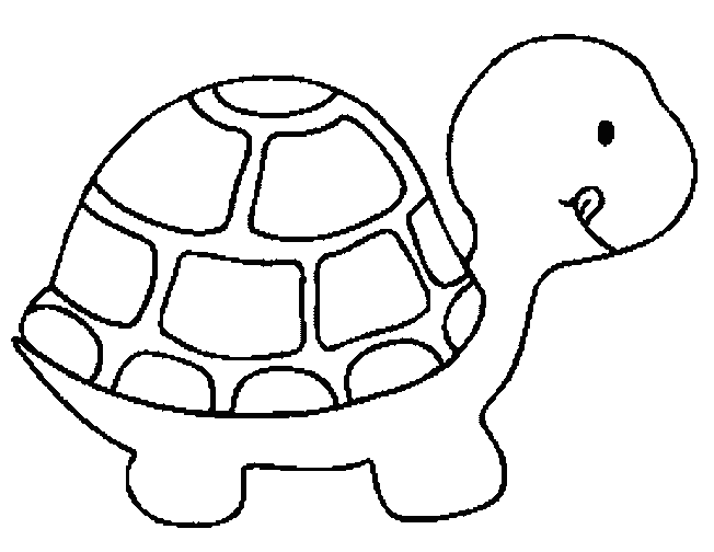 Turtle coloring:Child Coloring and Children Wallpapers