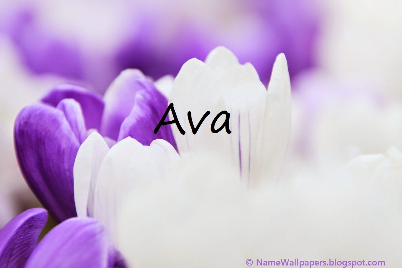 Ava Name Wallpapers Ava Name Wallpaper Urdu Name Meaning Name Images