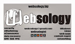 Websology Consulting