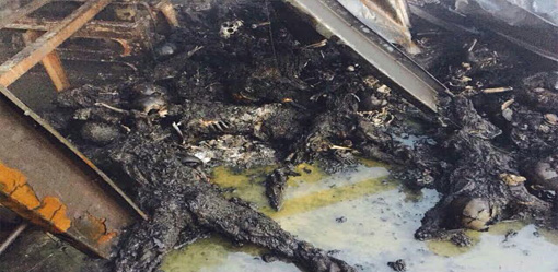 List of Identified Victims in Kentex Fire - Exam News, Reviewer