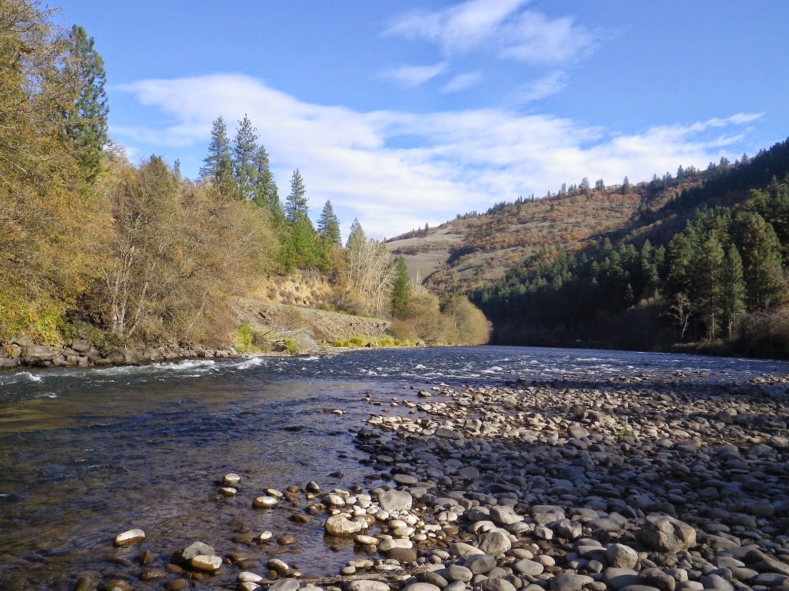 Bob Humphrey Fly Fishing LLC Klickitat River, WA October 2013