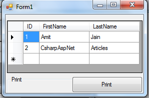 PageSetupDialog In C# VB.NET Windows Forms Application