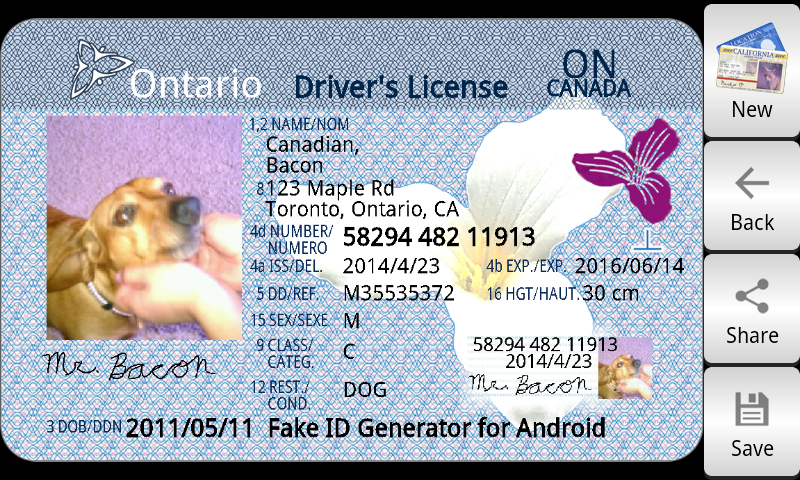 Fake Ontario Driver License Number Generator