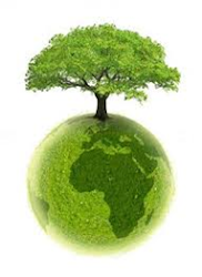 Charla Medio Ambiental "Medio Ambiente y Sociedad"