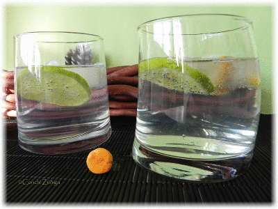Gin Tonic Aromatizado Con C. Cibarius