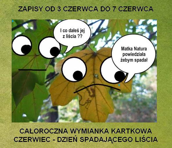 dzień spadającego liścia