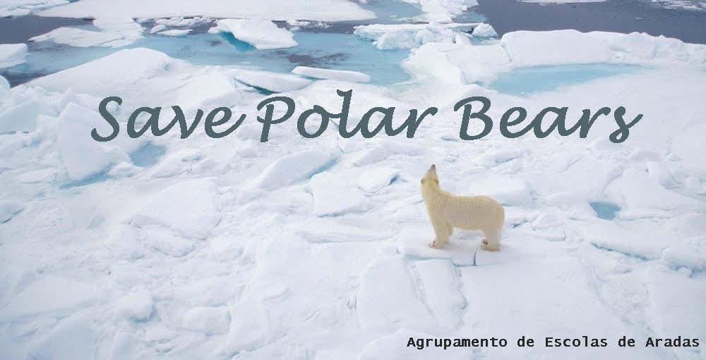 Save Polar Bears 
