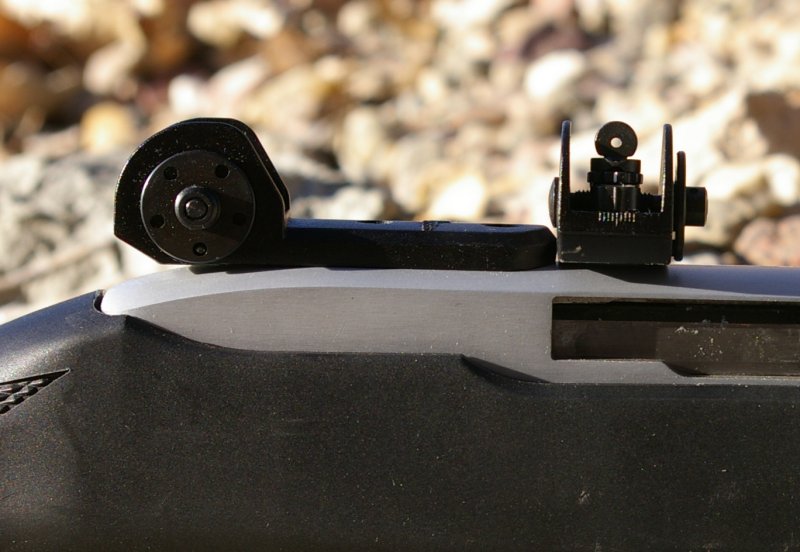 Ruger 10/22 Tech Sights Review