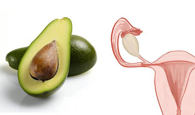 10 Foods That Look Like Body Parts & Theyre Good For Health 10 Foods That Look Like Body Parts & Theyre Good For Health