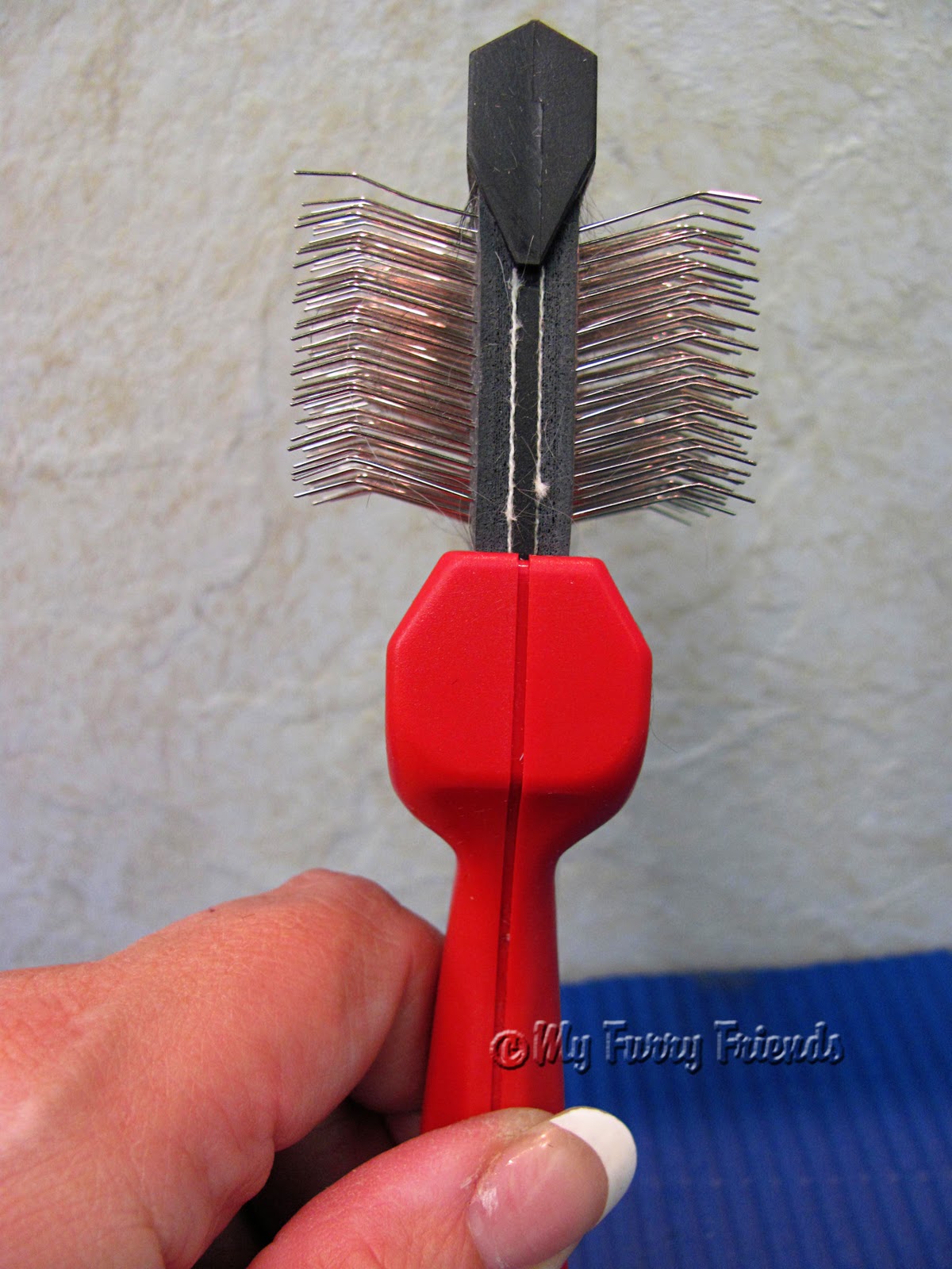 Pet Grooming The Good The Bad The Furry Tuesday S Tip 32