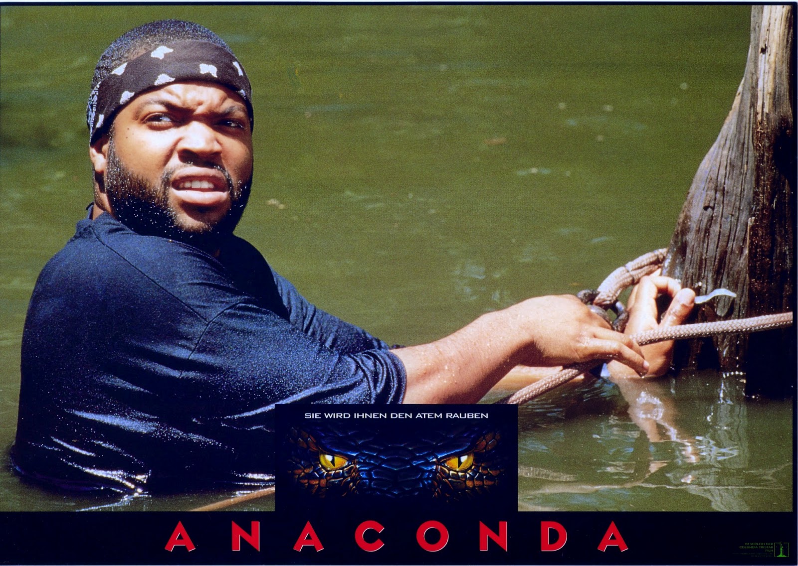 rencontre assyriologique internationale 2013